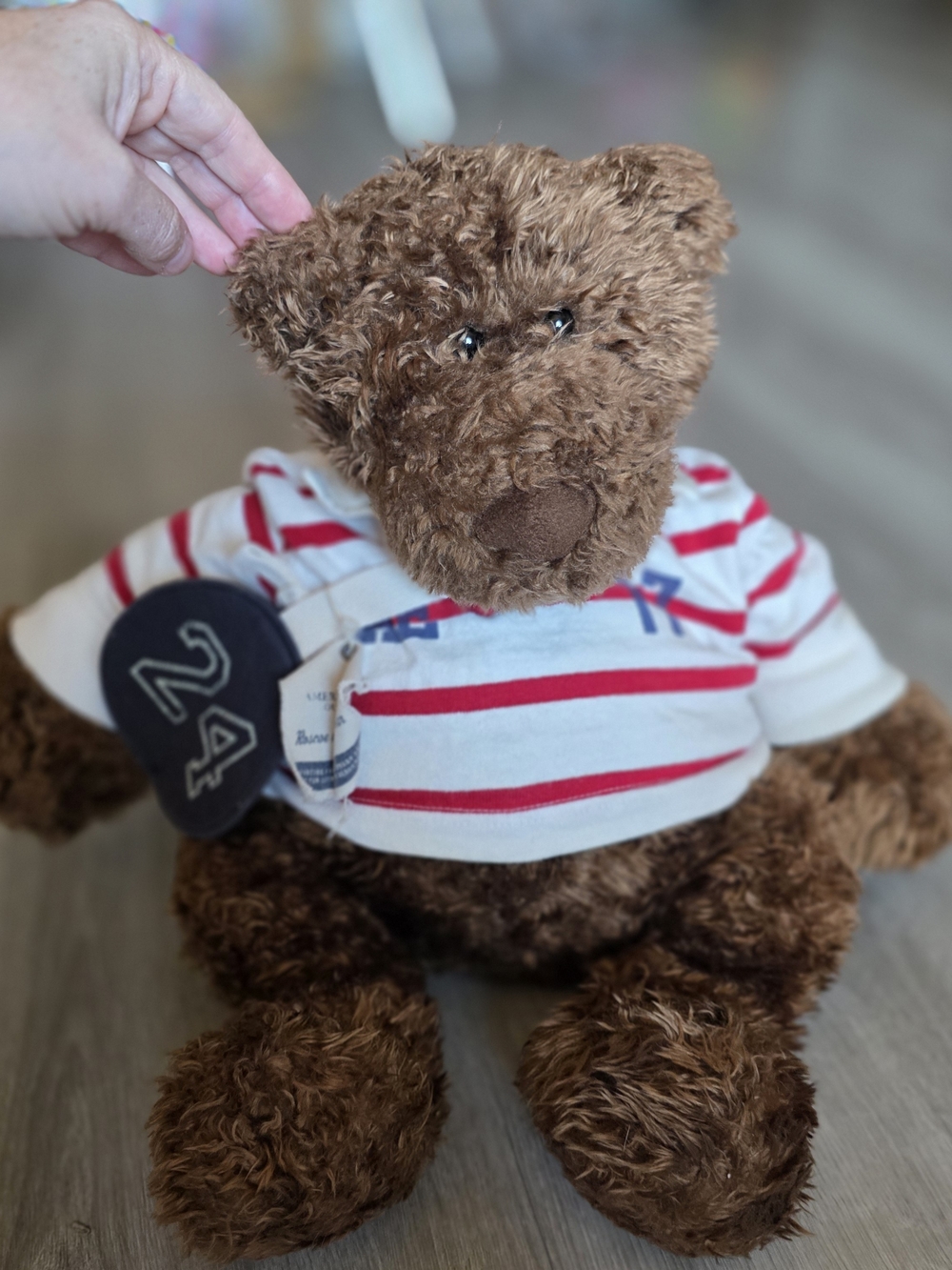 American Eagle Outfitters Brown Teddy Bear in Red & White Striped Tee